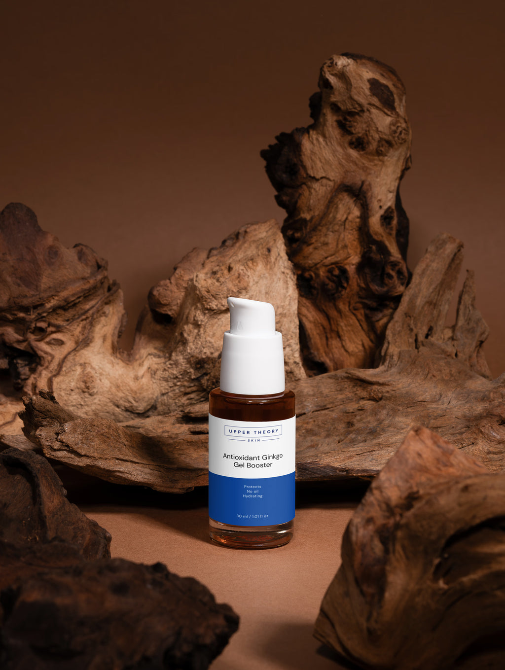 Antioxidant Ginkgo Gel Booster